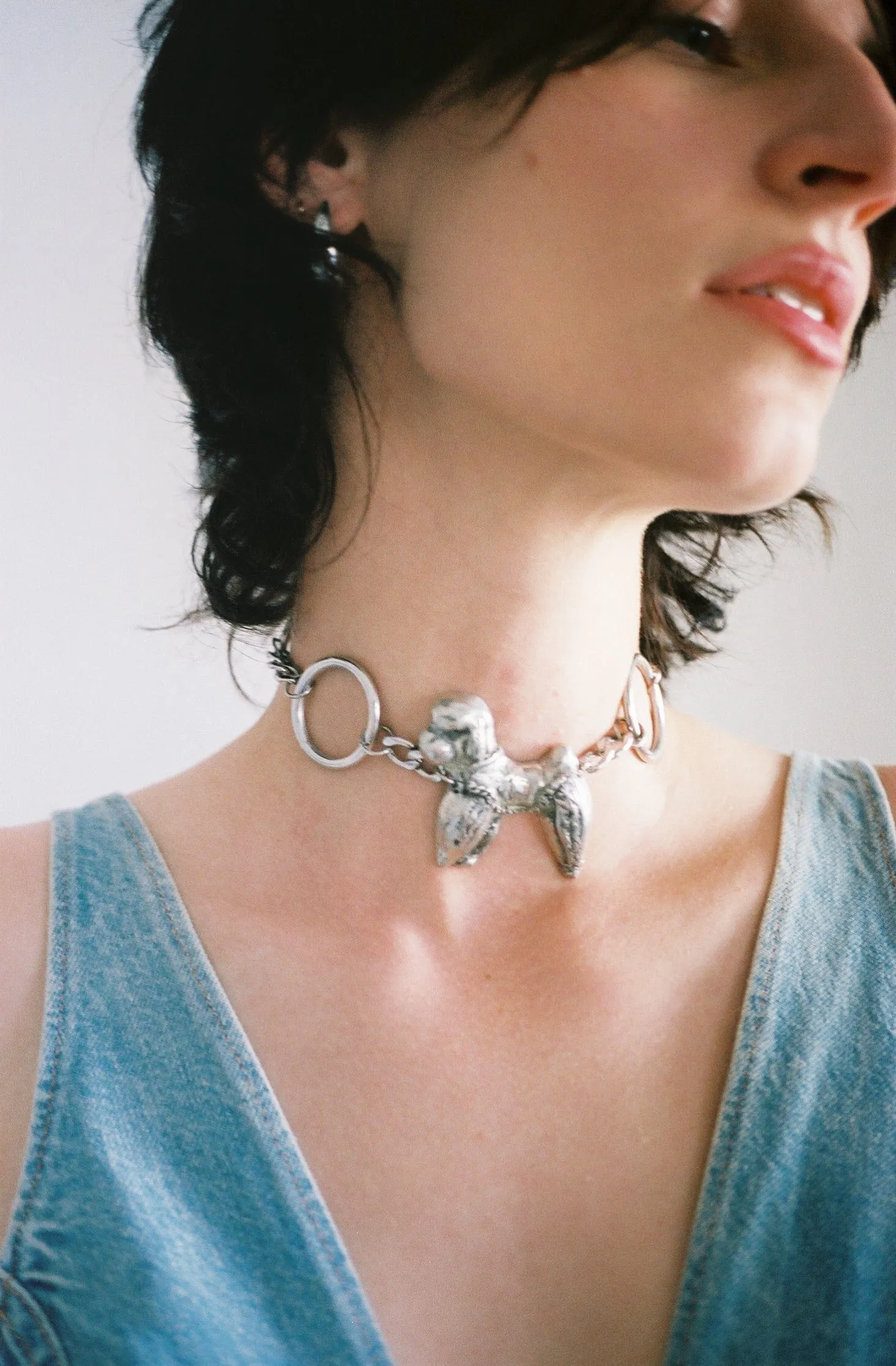 Caniche Choker