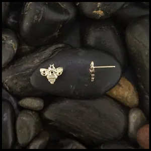Celtic Bee Post Earrings in Gold