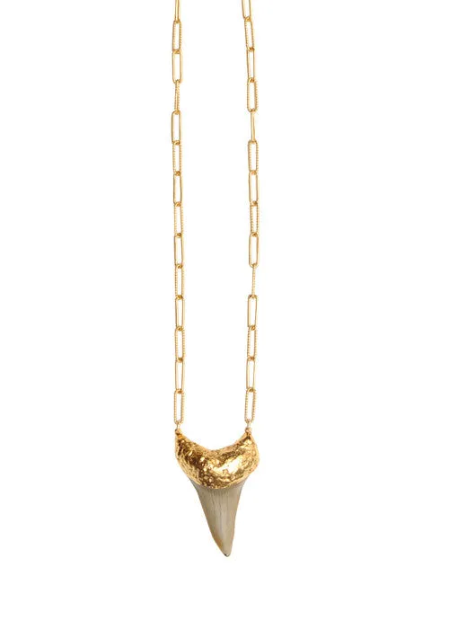 Golden Sunset Shark Tooth Necklace