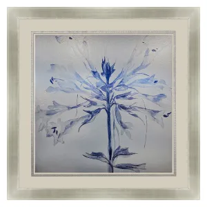 Jardine Sheer Beauty I