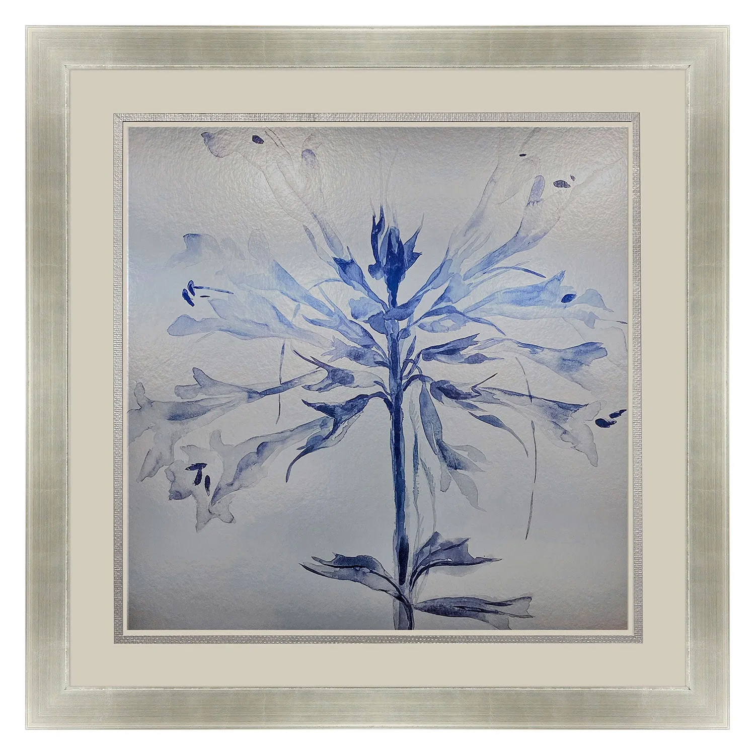 Jardine Sheer Beauty I