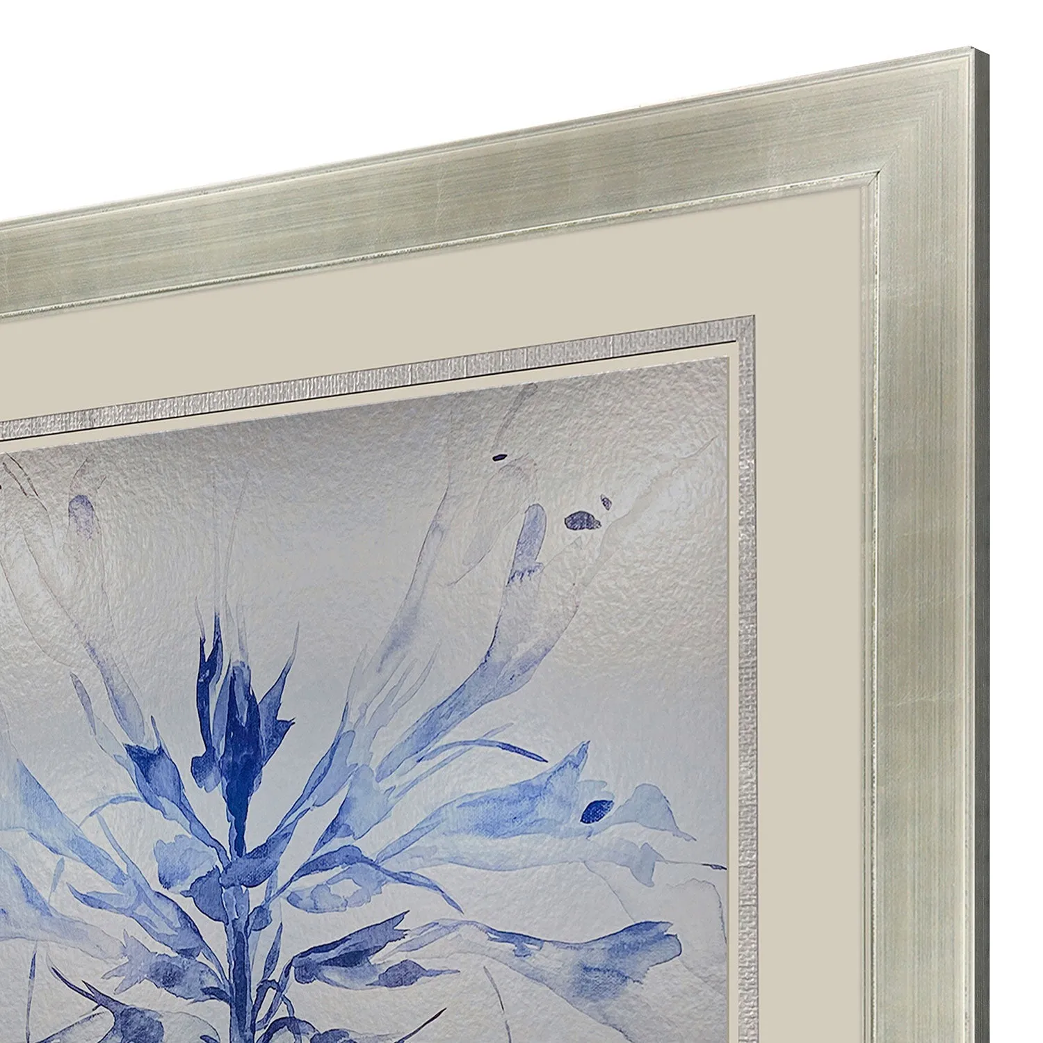 Jardine Sheer Beauty I